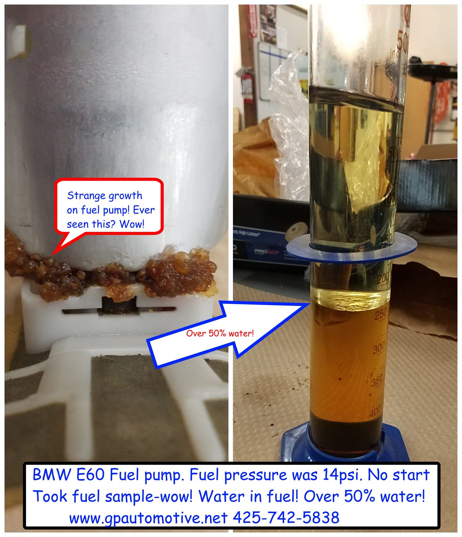 Our two shop photos of a BMW fuel pump with strange residue, and a graduated cylinder where the fuel sample has separated over water — our original notes still on the images